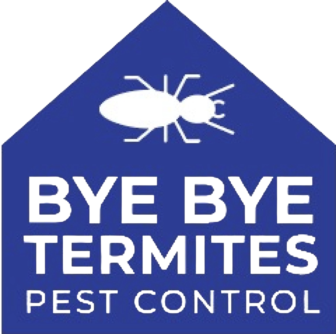 Termite Control Specialists in South Florida | Bye Bye Termites